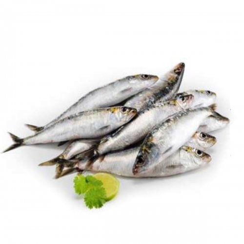 Sardinha  Granel