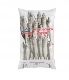 Cavalinha Congelada Pct 1,6kg